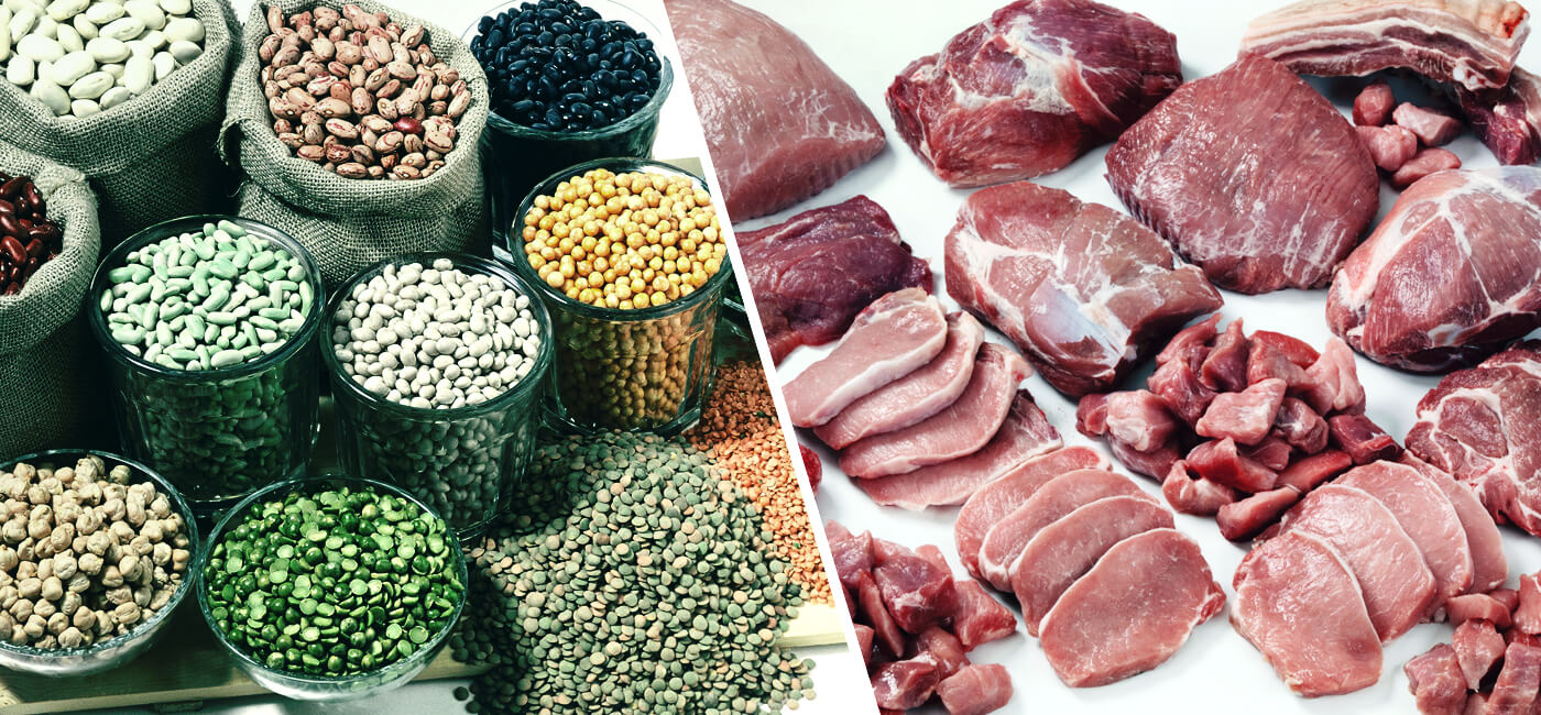 Animal Protein vs. Plant-Based Protein: Comparative Impact on Muscle Growth  | Biolayne