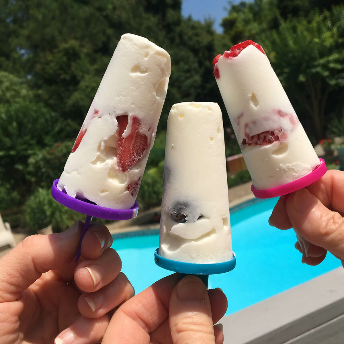 Protein Ice Cream Bars Biolayne