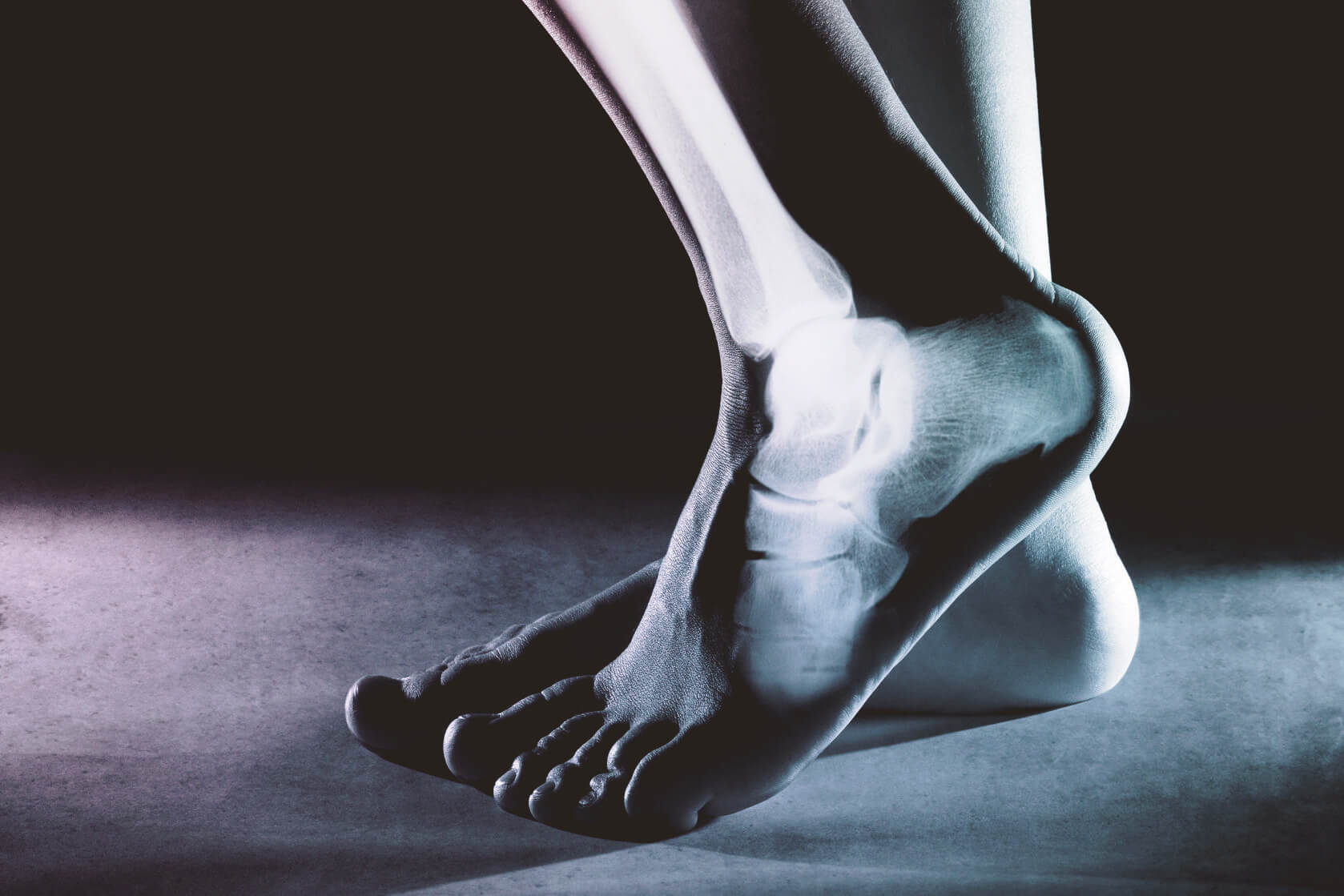 A Crash Course in Ankle Mobility | Biolayne