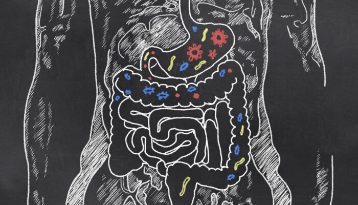 gut bacteria on blackboard