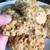 Honey Oatmeal Protein Cookies