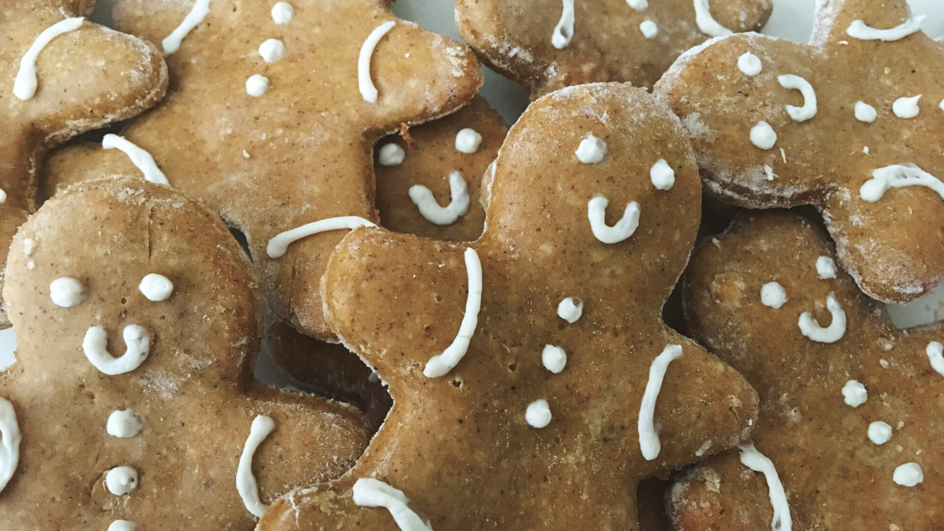 Protein Ginger Bread Cookies - Biolayne