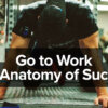 Go to Work - The Anatomy of Success