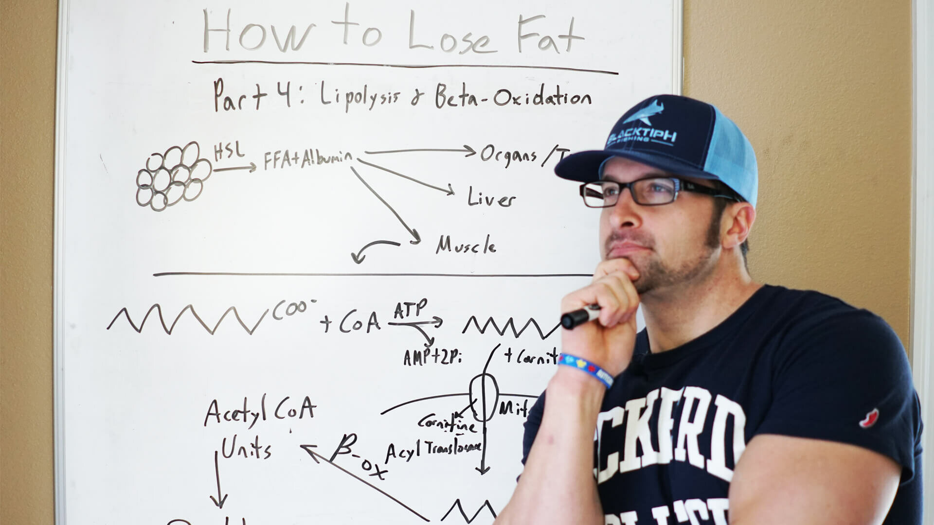 How Fat Loss Works – Episode 4: Lipolysis and Beta Oxidation