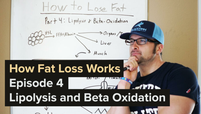 How Fat Loss Works – Episode 4: Lipolysis and Beta Oxidation