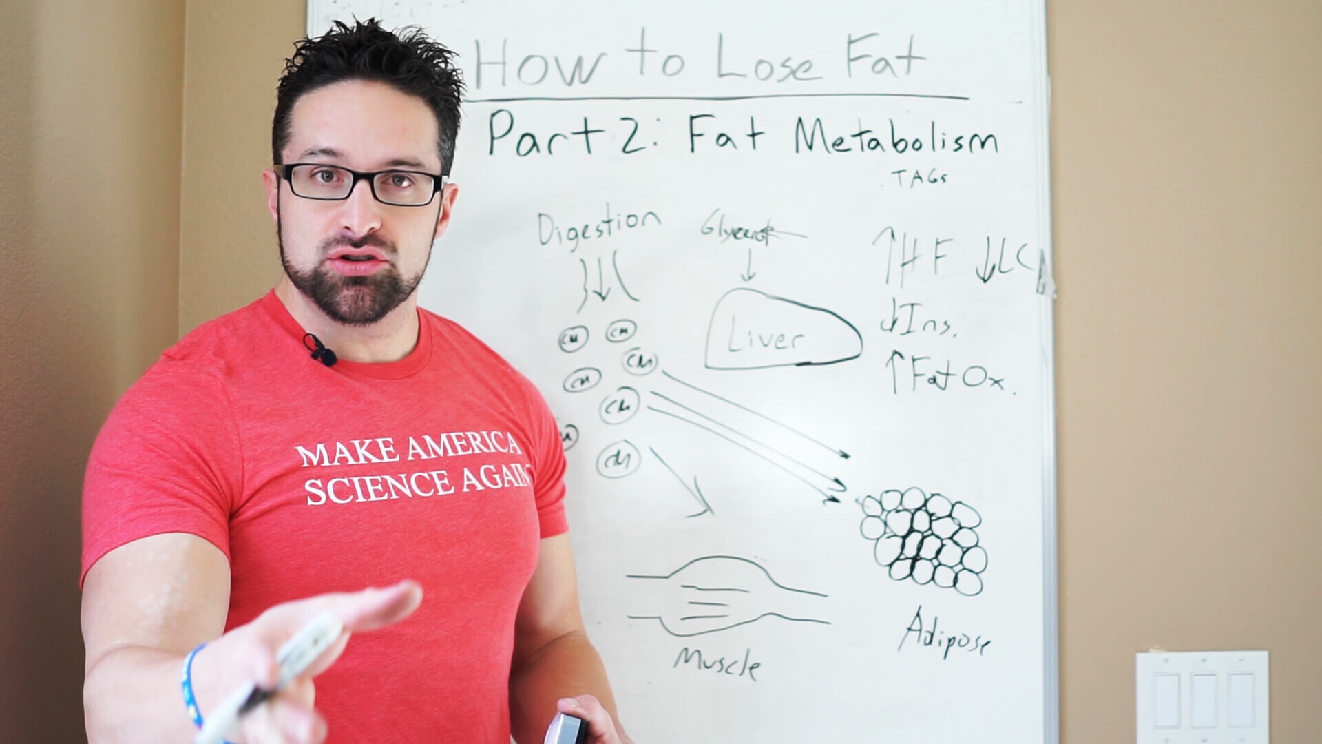How Fat Loss Works - Part 1: Fat Metabolism