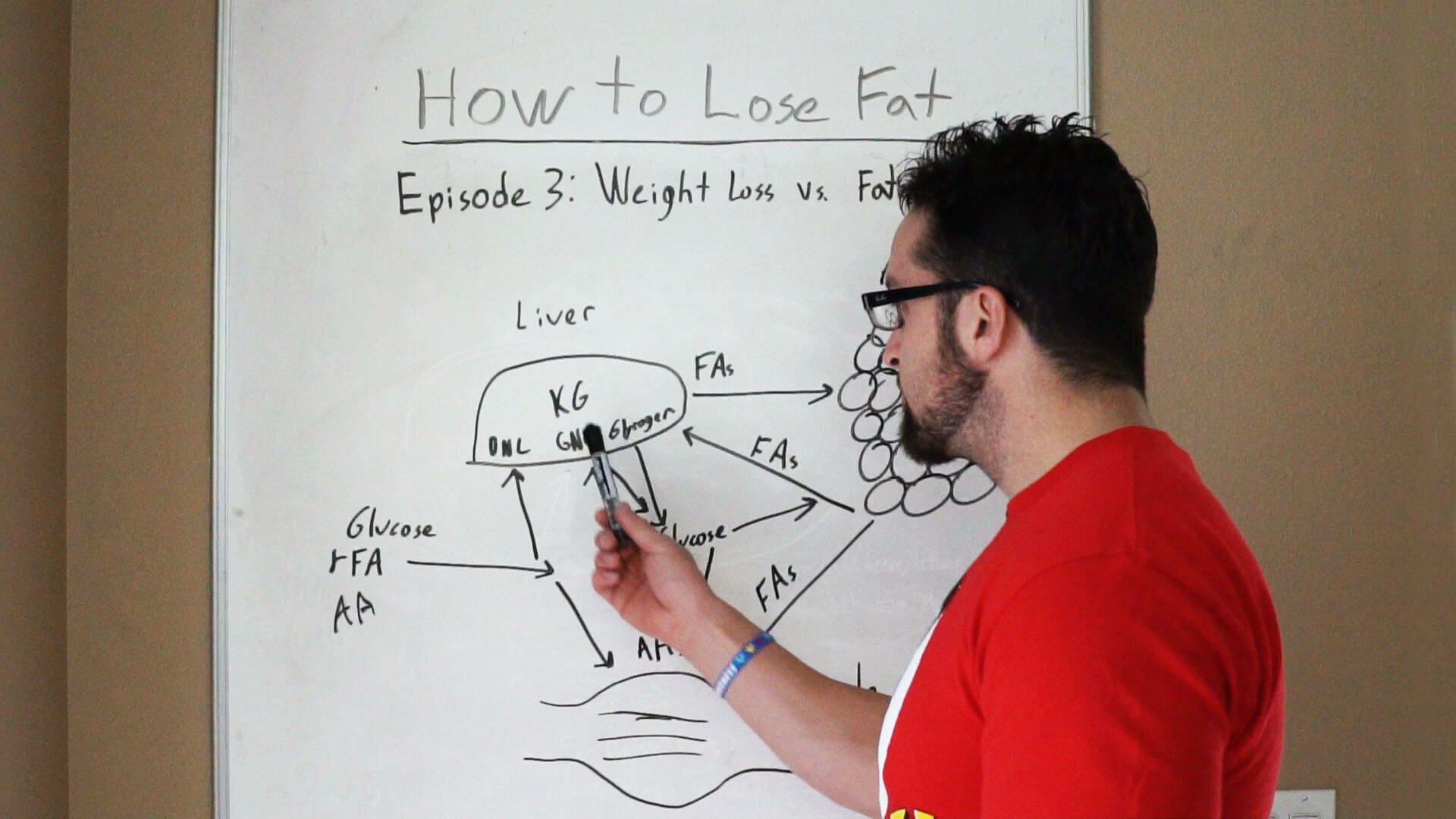 How Fat Loss Works - Episode 3: Weight Loss vs. Fat Loss