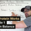 How Protein Works - Episode 1: Protein Balance