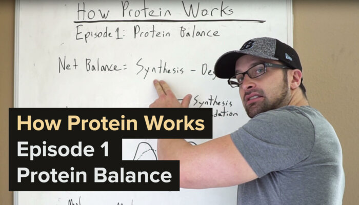 How Protein Works – Episode 1: Protein Balance