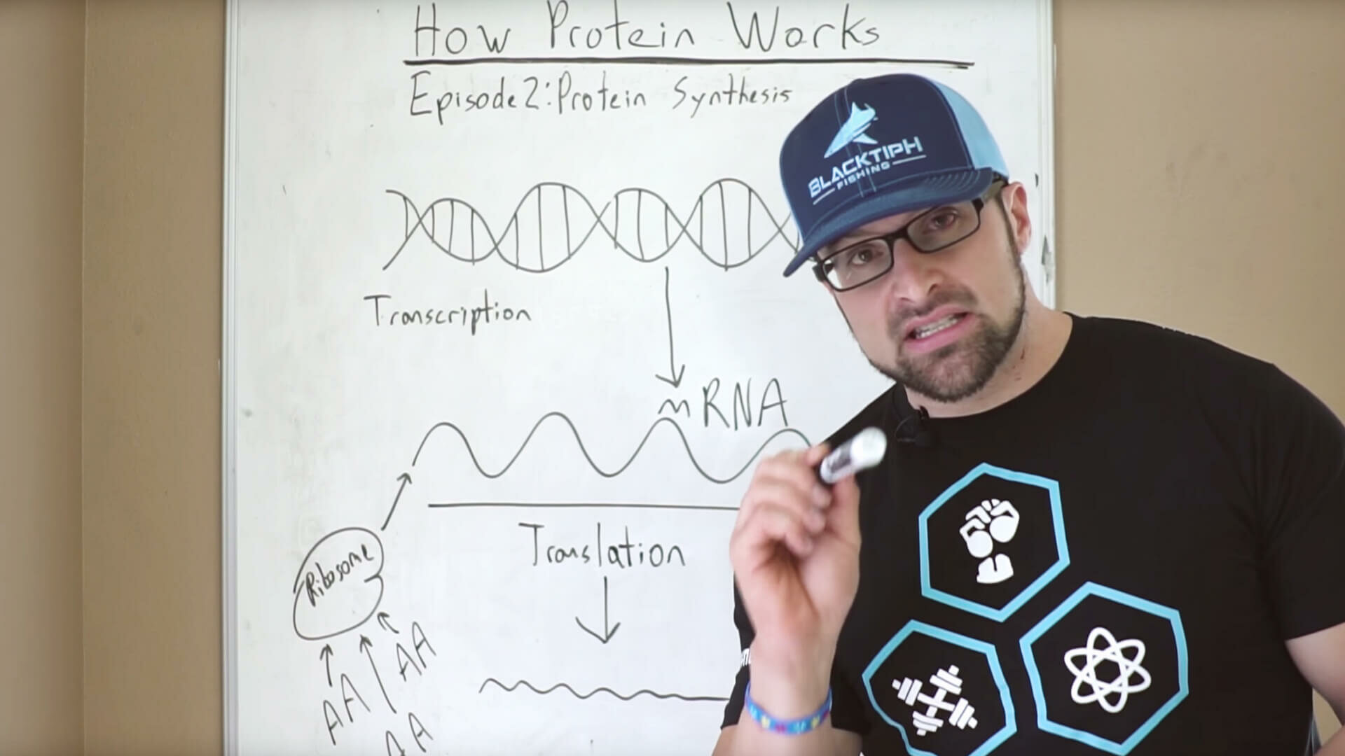 How Protein Works - Episode 2: Protein Synthesis