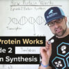 How Protein Works - Episode 2: Protein Synthesis