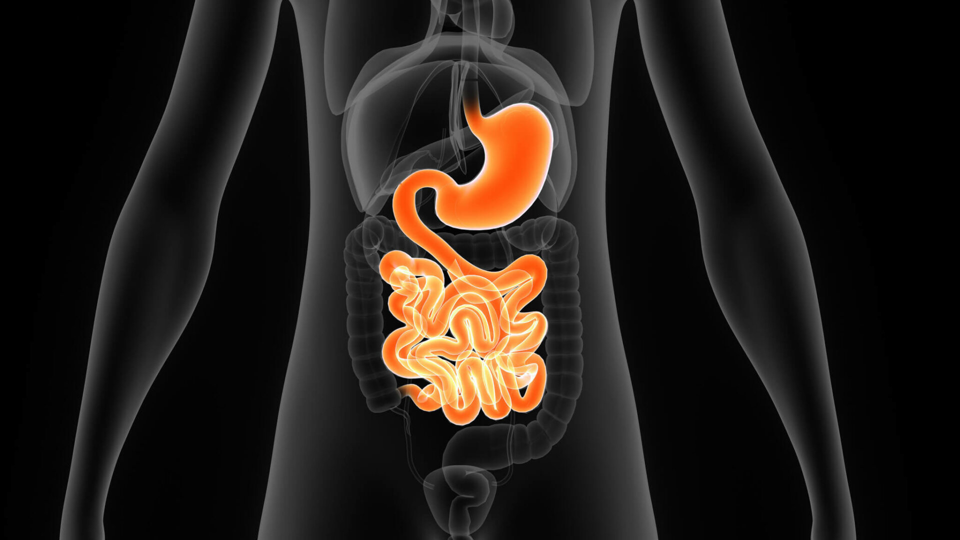 The Microbiome, Diet and Health - Biolayne