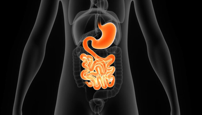The Microbiome, Diet and Health - Biolayne