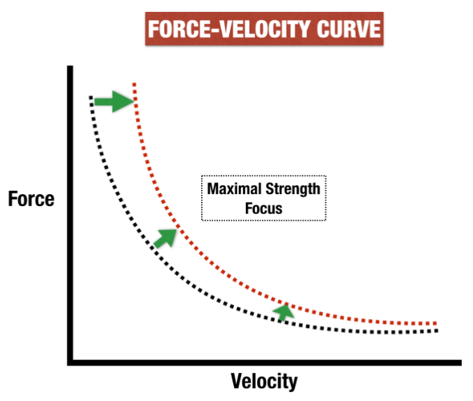 How to Use Accommodating Resistance in Your Training Program | Biolayne