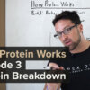 How Protein Works - Episode 3: Protein Breakdown