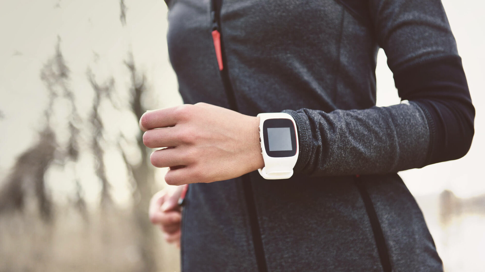 Wearable Fitness Trackers: Worth the Money?