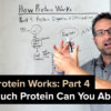 How Protein Works Part 4 - How Much Protein Can You Absorb?