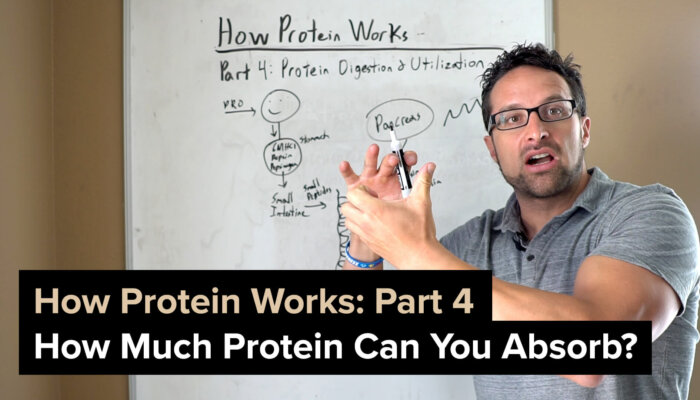 How Protein Works Part 4 - How Much Protein Can You Absorb?
