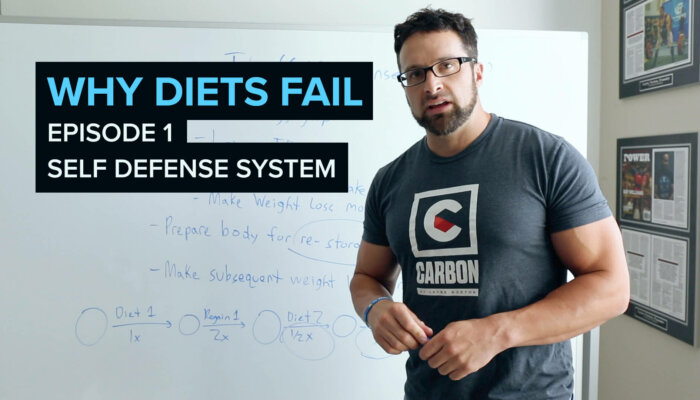 Why Diets Fail - Self Defense System