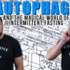 Autophagy and the Magical World of Intermittent Fasting