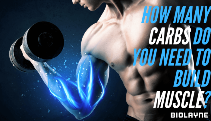 How many carbs do you need to build muscle?