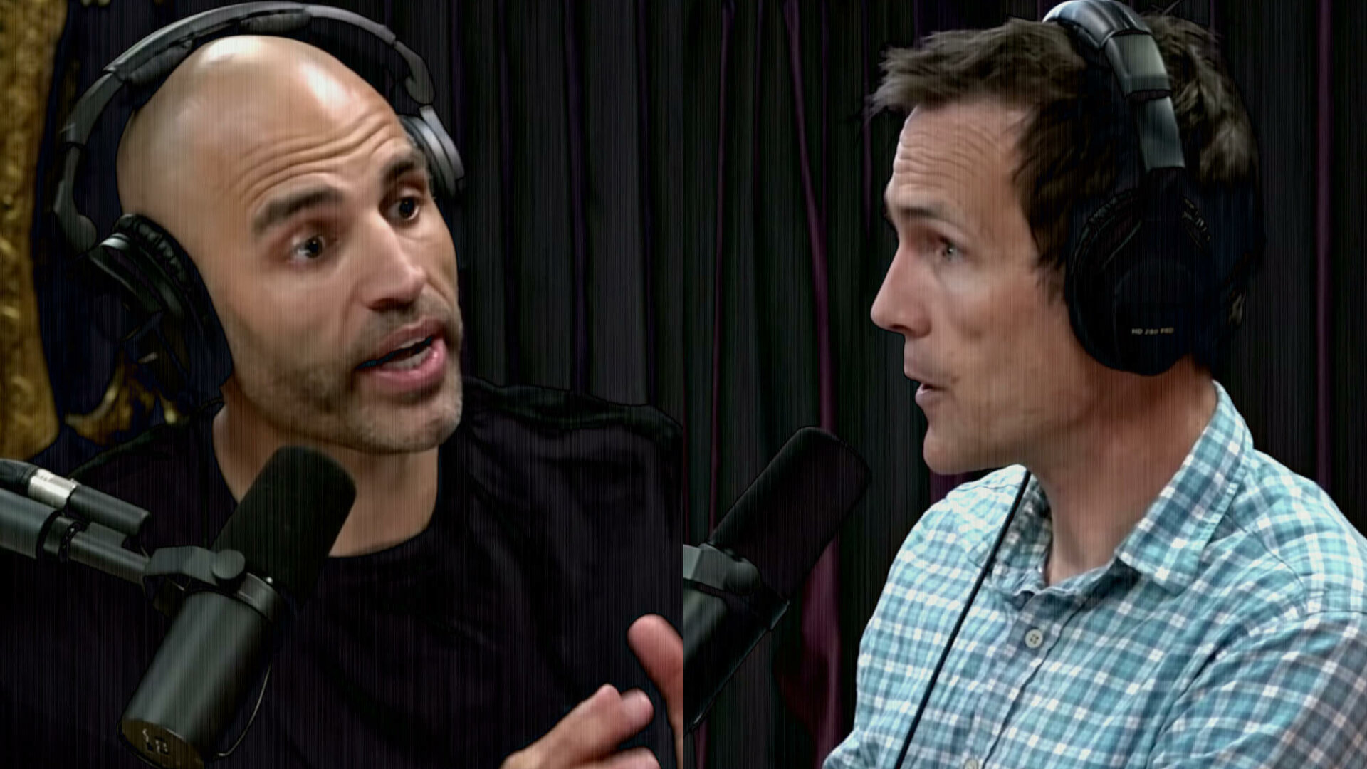 The Game Changers Debate: James Wilks vs. Chris Kresser on the Joe Rogan Experience