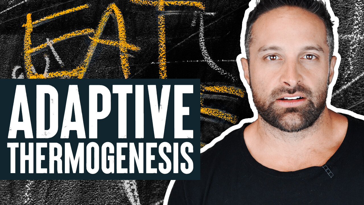 adaptive-thermogenesis-biolayne