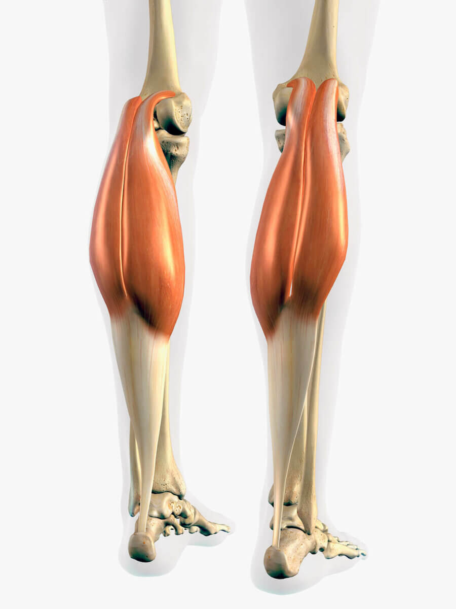 REPS: How Does Toe Position Influence Calf Growth?