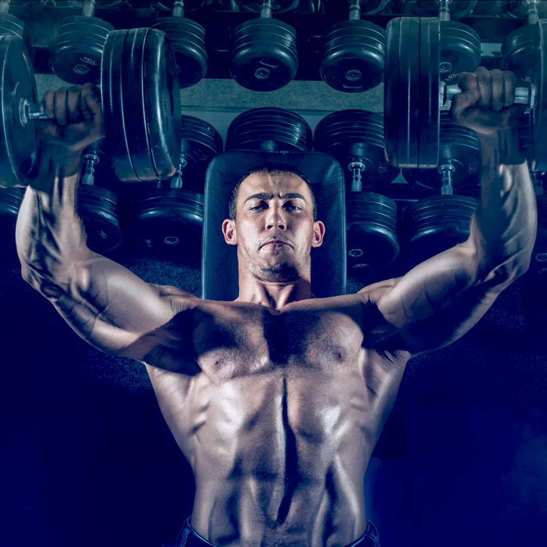 Muscle Mass Reallocation: Does Hypertrophy of a Muscle Lead to Atrophy of Another?