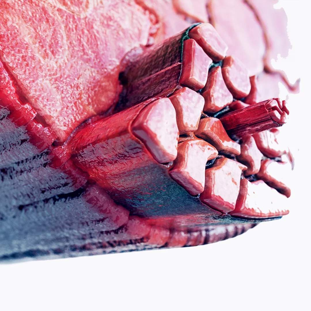 Can You Train For Fiber Type?