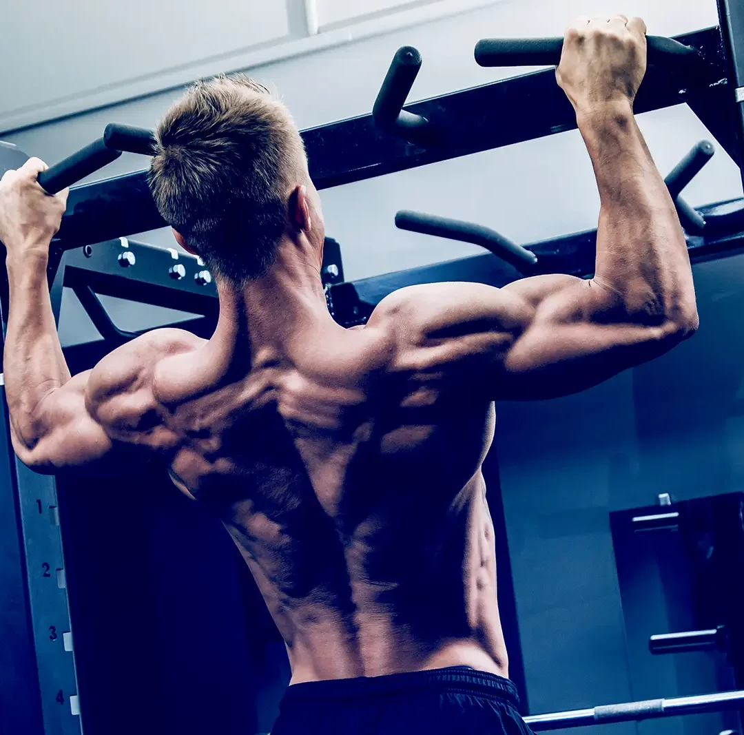 Time-Restricted Feeding vs. Normal Eating Patterns: What’s Best for Performance and Fat Loss?