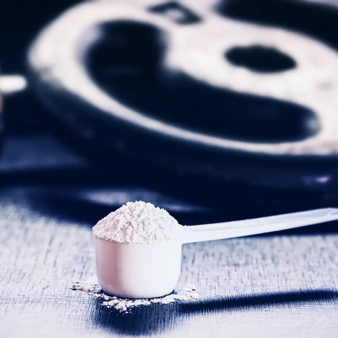 Creatine and Muscle Growth: Real Gains or Just Water Weight?