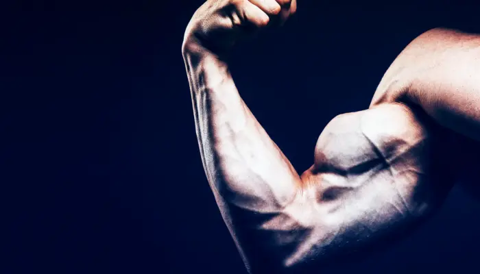 A Novel Drop Set Approach: Is It Better Than Traditional Training?