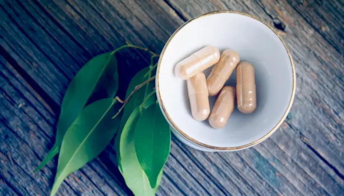 The Effect of Lemon Myrtle Supplementation on Muscle Hypertrophy in Adults