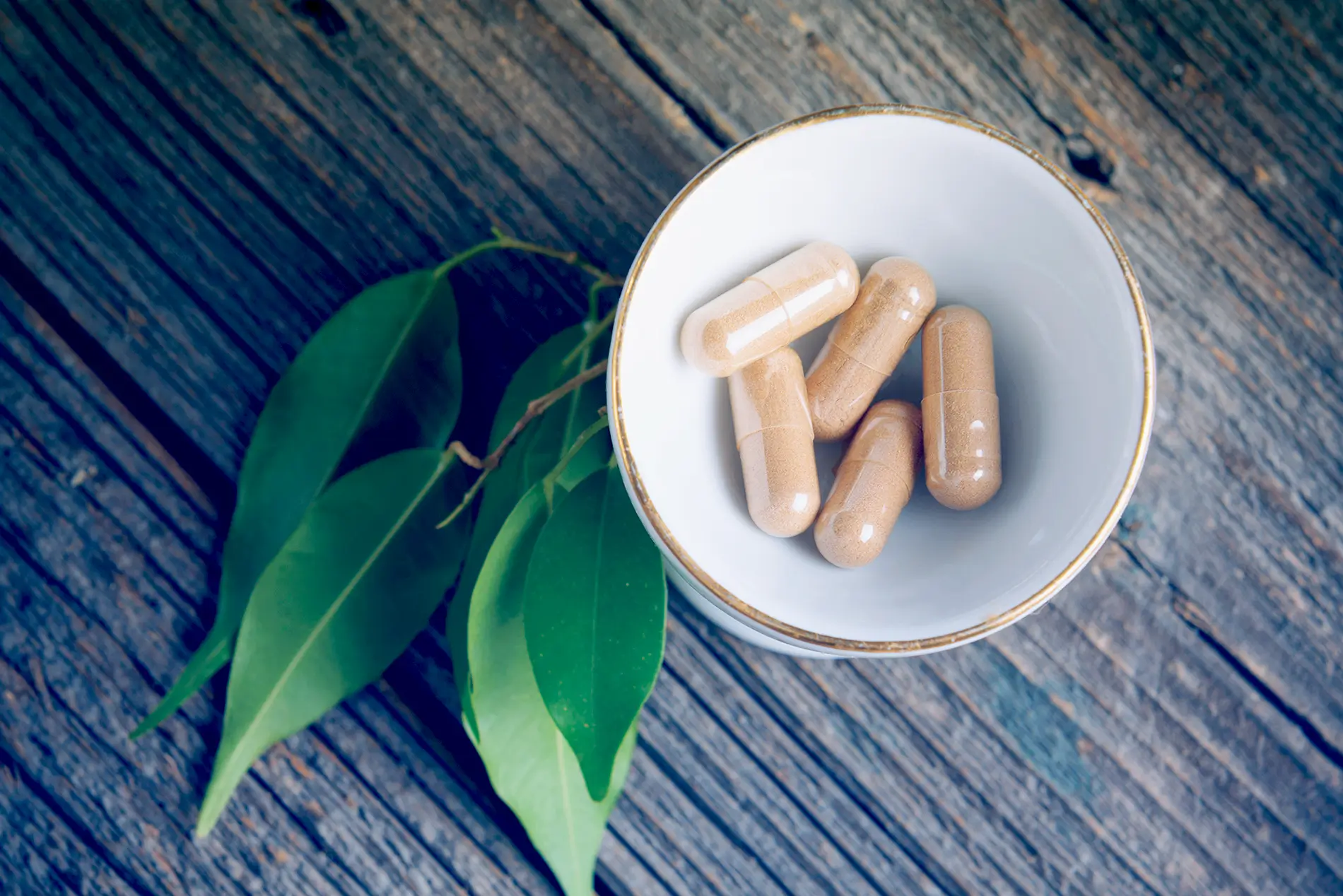 Lemon Myrtle Supplement