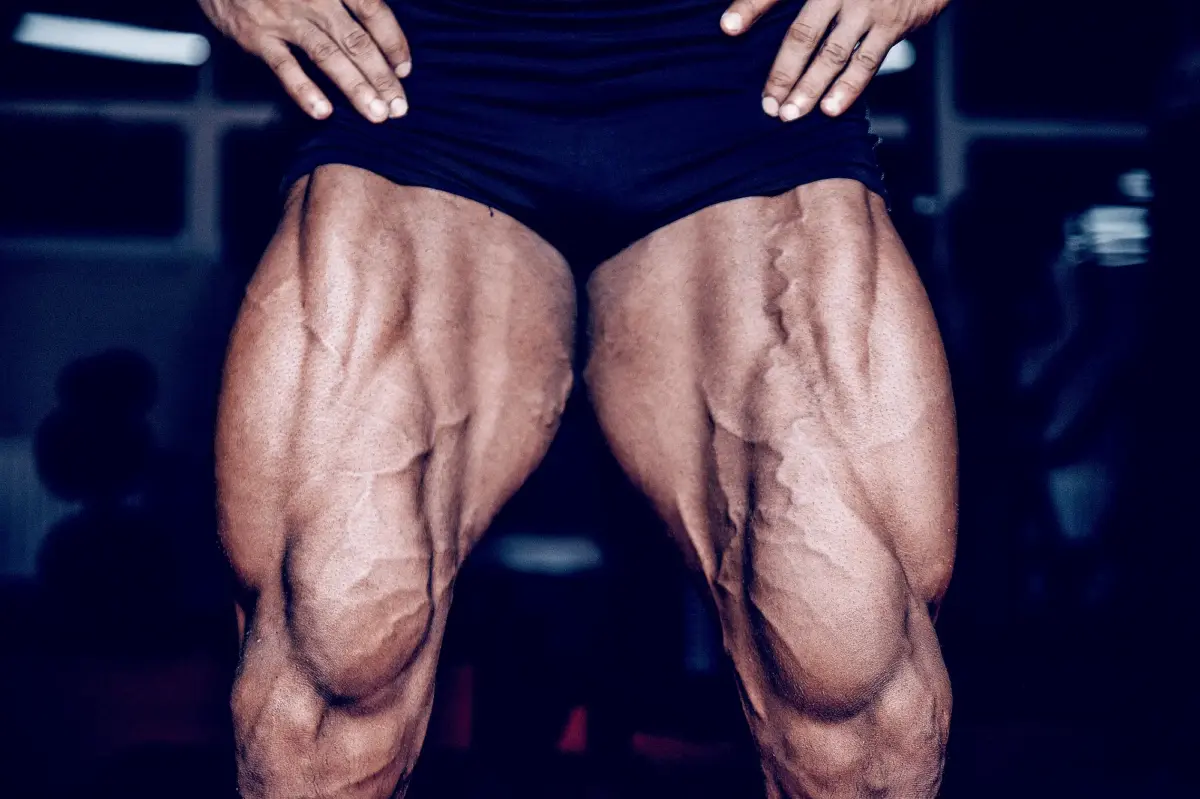 man's thigh muscles