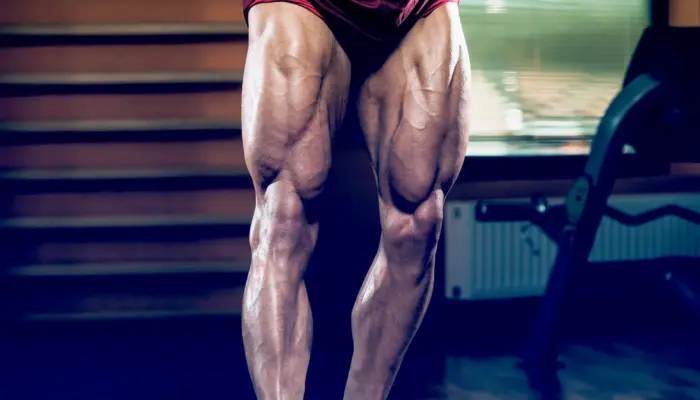 Leg Press or Knee Extension for Quad Growth?