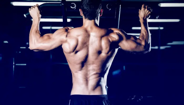 Body Recomp: Maintenance or Deficit?