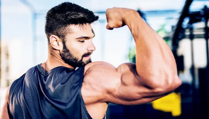 Do Muscles Compete for Growth?